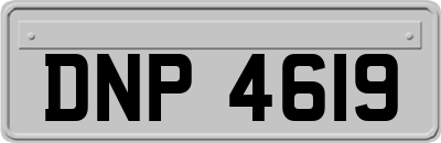 DNP4619