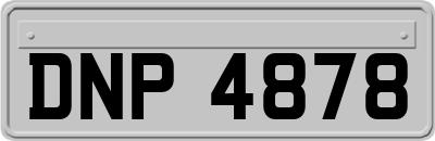 DNP4878