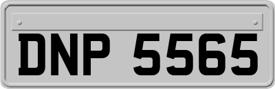 DNP5565