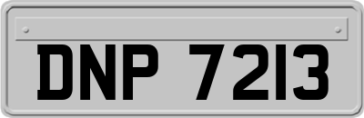 DNP7213