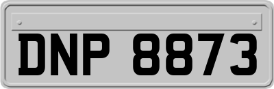 DNP8873