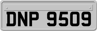 DNP9509