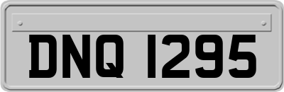DNQ1295