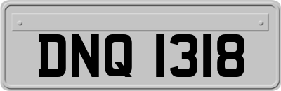 DNQ1318
