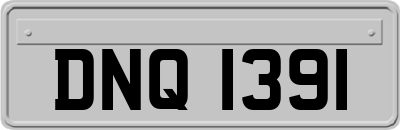 DNQ1391