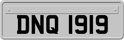 DNQ1919
