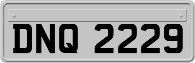 DNQ2229