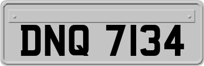 DNQ7134