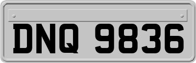 DNQ9836