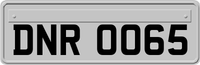 DNR0065