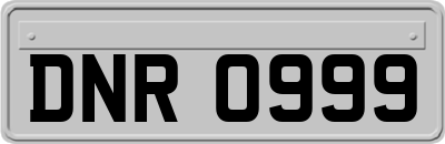 DNR0999