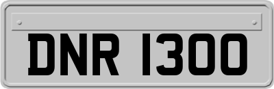 DNR1300
