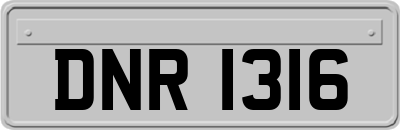 DNR1316