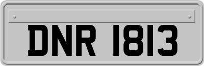 DNR1813
