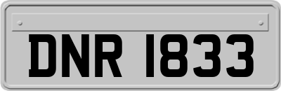 DNR1833