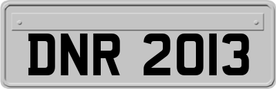 DNR2013