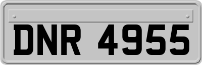DNR4955