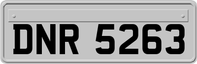 DNR5263