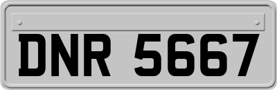DNR5667