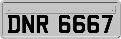 DNR6667