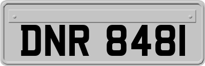 DNR8481