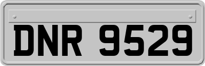 DNR9529