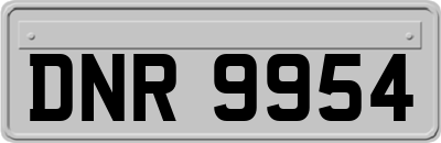 DNR9954