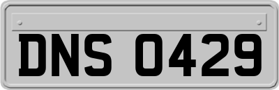 DNS0429