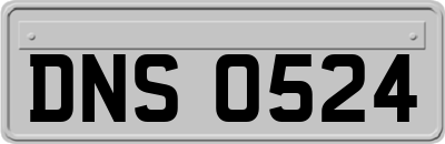 DNS0524