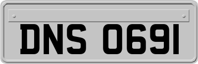 DNS0691