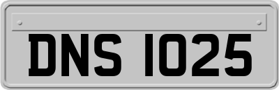 DNS1025