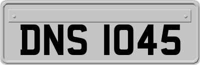DNS1045