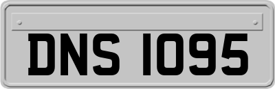 DNS1095