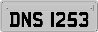 DNS1253