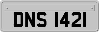 DNS1421
