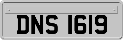 DNS1619