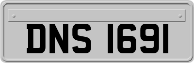DNS1691