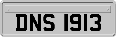 DNS1913