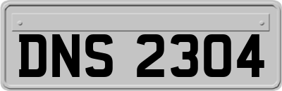 DNS2304