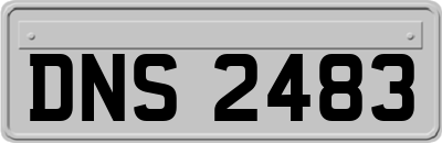 DNS2483