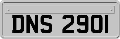 DNS2901