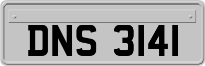 DNS3141