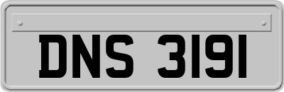 DNS3191
