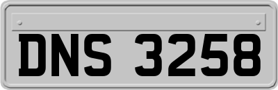 DNS3258