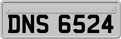 DNS6524