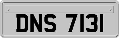 DNS7131