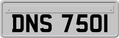 DNS7501