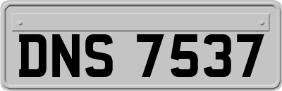 DNS7537