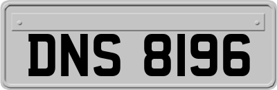 DNS8196