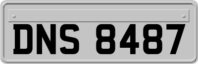 DNS8487